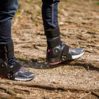 Image for product 282 thumbnail